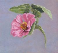 La Jeune Fille Gwen Gugell  Still Life