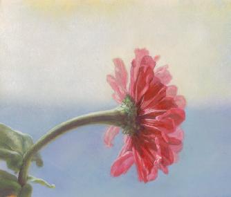 From The Balcony Gwen Gugell  Still Life